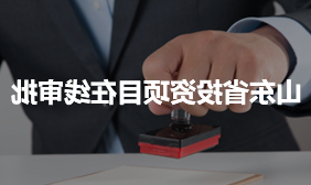 山东省投资项目在线审批