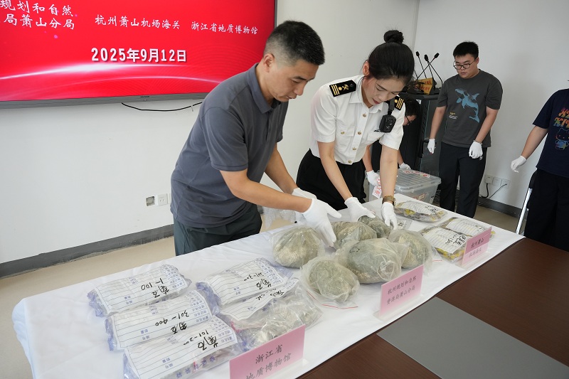 图为：工作人员正在清点化石数量