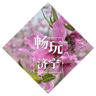 365体育足彩