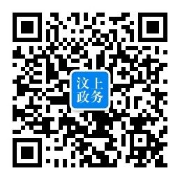 汶上政务