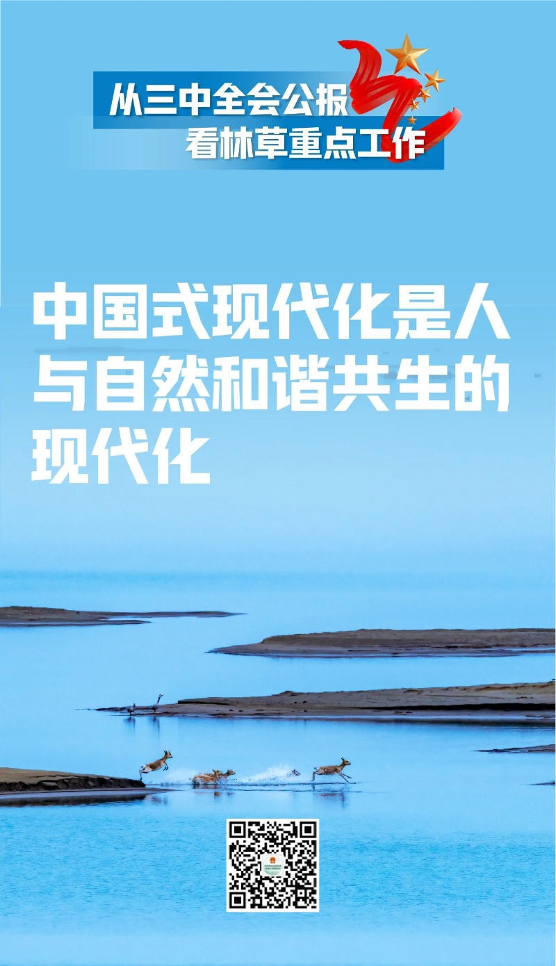 365体育足彩