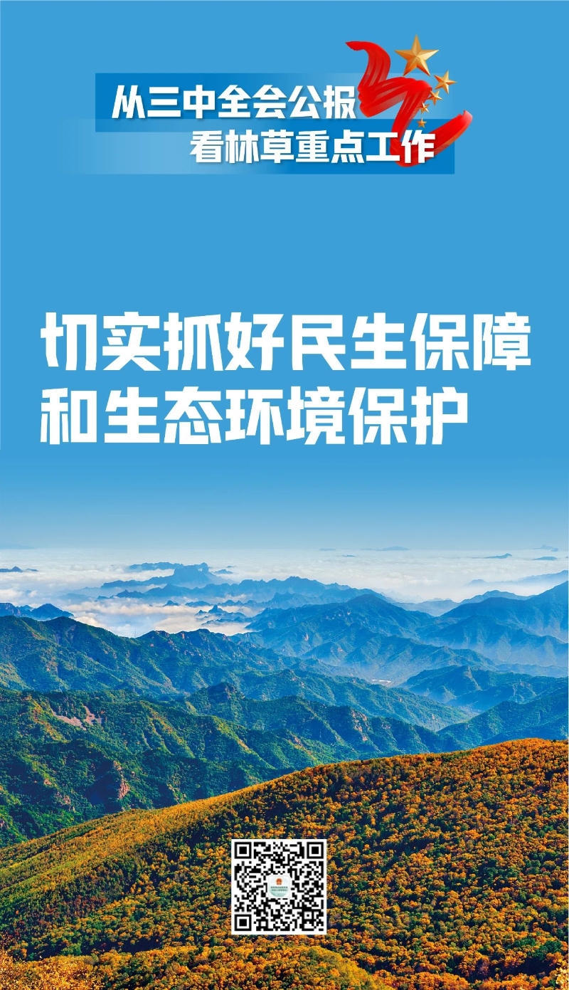 365体育足彩