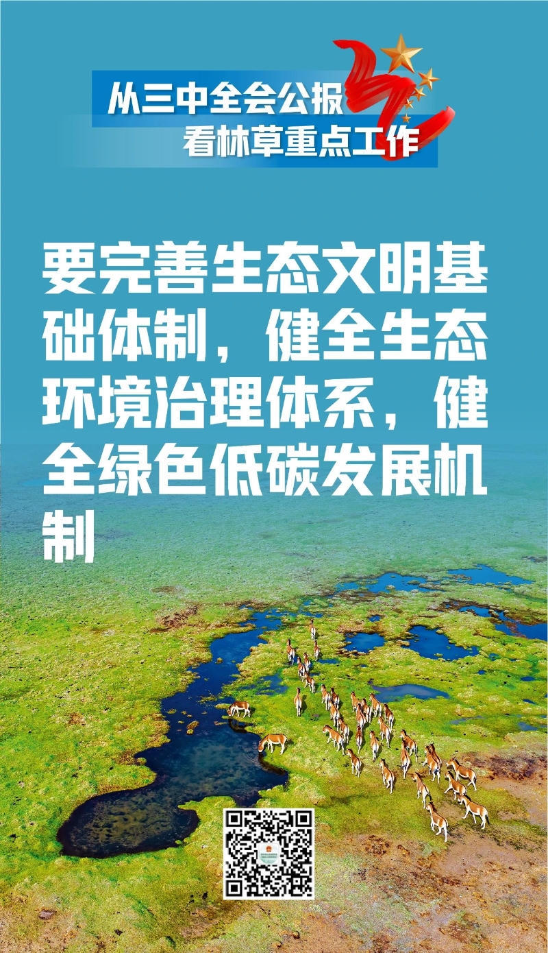 365体育足彩