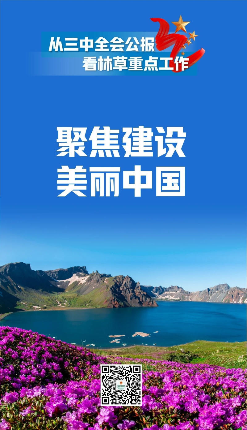 365体育足彩
