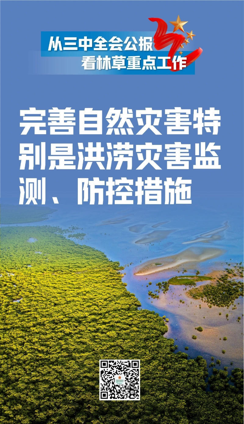 365体育足彩