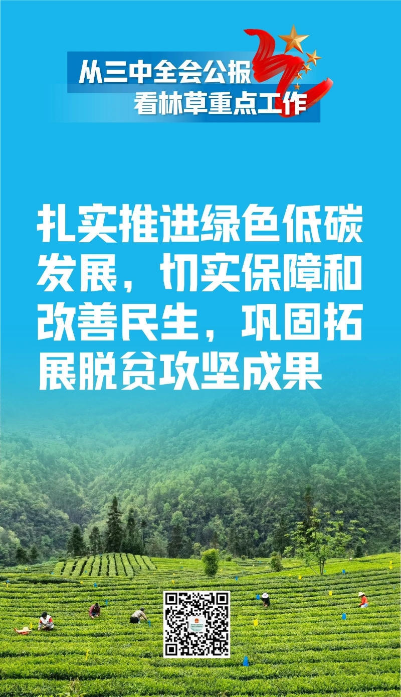 365体育足彩